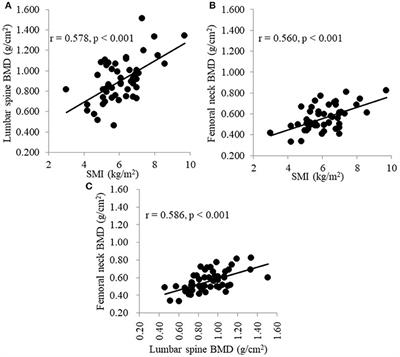 Skeletal Muscle Mass Index Is Positively Associated With Bone Mineral Density in Hemodialysis Patients